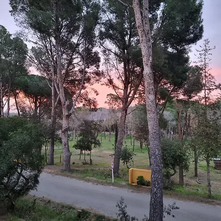 Costa Brava * Ля Эскала